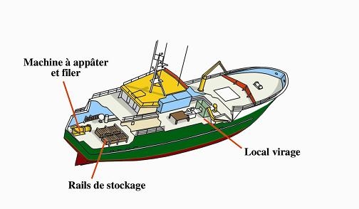 Les différents navires et techniques de pêche
