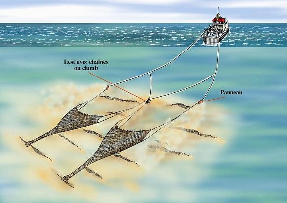 Filet de pêche : définition et explications